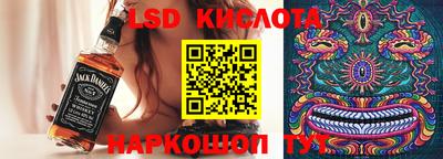 гашик Кулебаки
