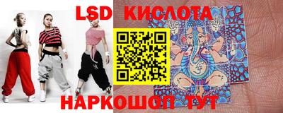 гашик Кулебаки