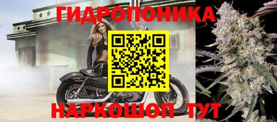 гашик Кулебаки